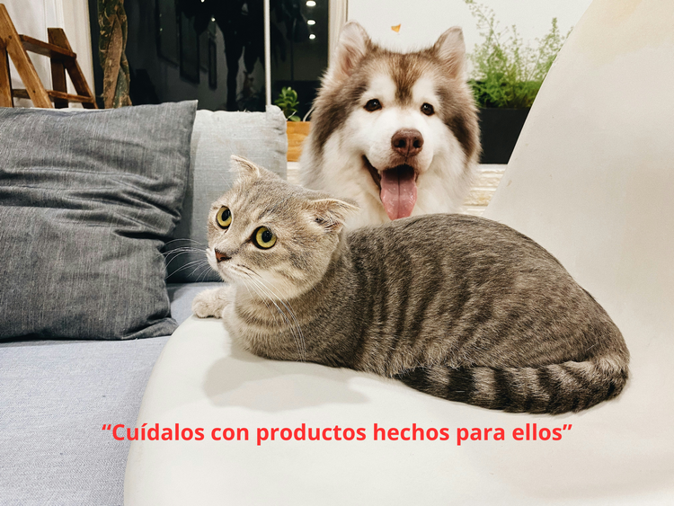 Mascotas Felices/ Happy Pets