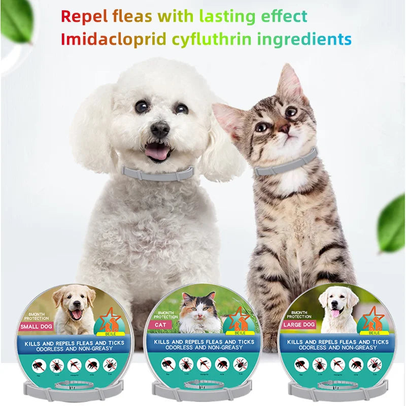 ¡Protege a tu peludo por 8 meses con un solo collar! collar de mascostas NovaVitalShop