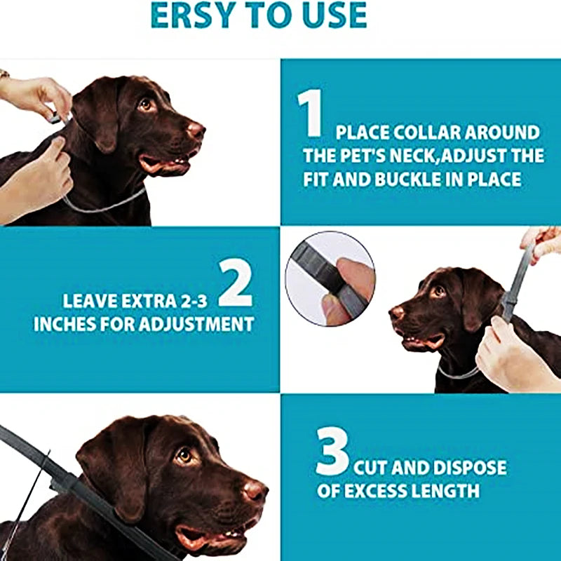 ¡Protege a tu peludo por 8 meses con un solo collar! collar de mascostas NovaVitalShop