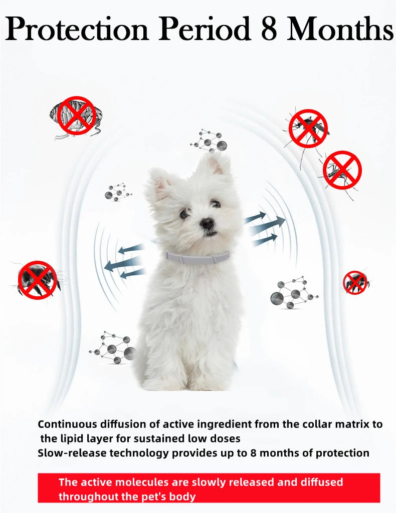 ¡Protege a tu peludo por 8 meses con un solo collar! collar de mascostas NovaVitalShop
