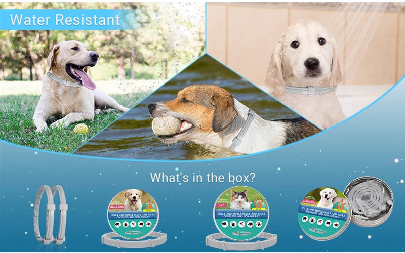 ¡Protege a tu peludo por 8 meses con un solo collar! collar de mascostas NovaVitalShop