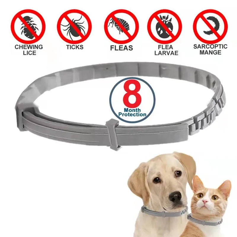 ¡Protege a tu peludo por 8 meses con un solo collar! collar de mascostas NovaVitalShop