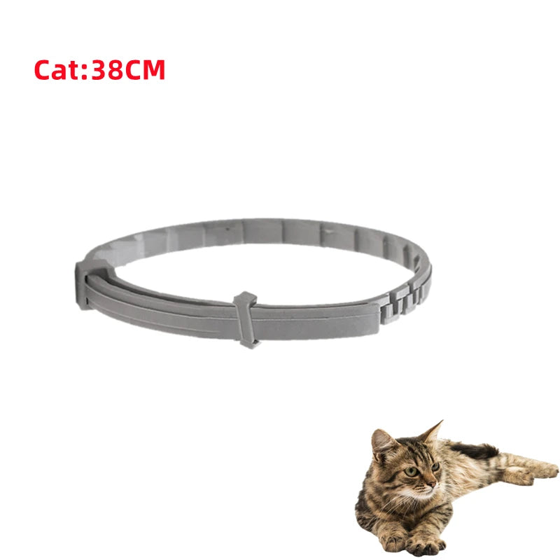 ¡Protege a tu peludo por 8 meses con un solo collar!