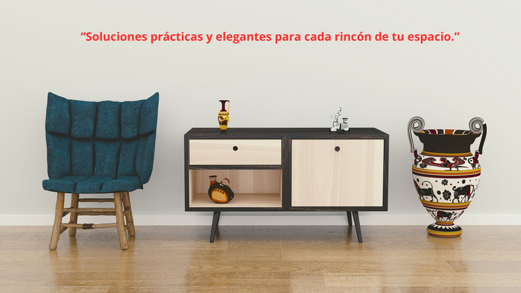 Organiza tu Hogar