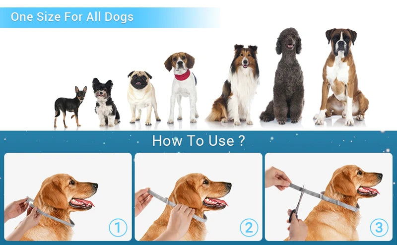 ¡Protege a tu peludo por 8 meses con un solo collar! collar de mascostas NovaVitalShop