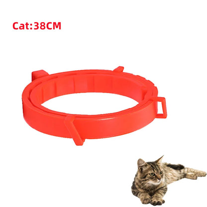 ¡Protege a tu peludo por 8 meses con un solo collar!