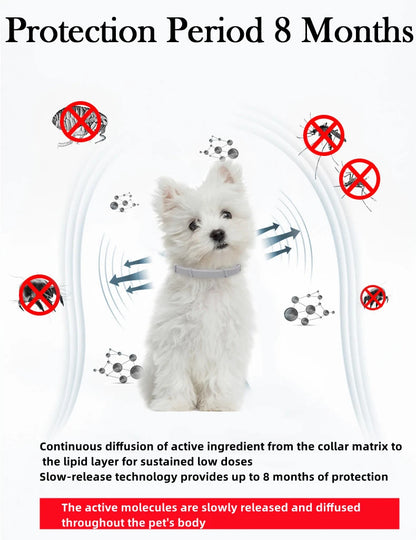 ¡Protege a tu peludo por 8 meses con un solo collar! collar de mascostas NovaVitalShop