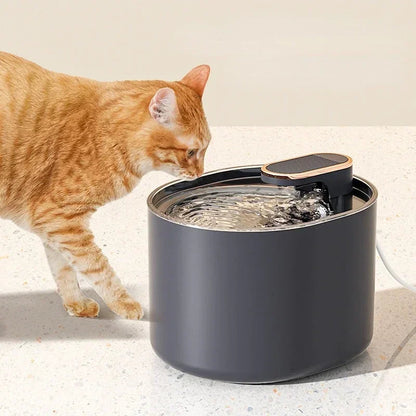 Fuente de Agua para Gatos. NovaVital