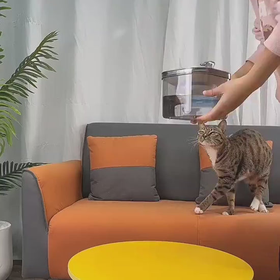 Fuente Inteligente de Acero Inoxidable para Mascotas – Circulación Automática para Gatos y Perros 0 Mi tienda