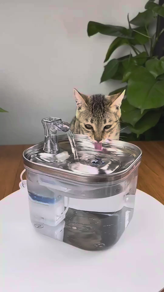 Fuente Inteligente de Acero Inoxidable para Mascotas – Circulación Automática para Gatos y Perros 0 Mi tienda